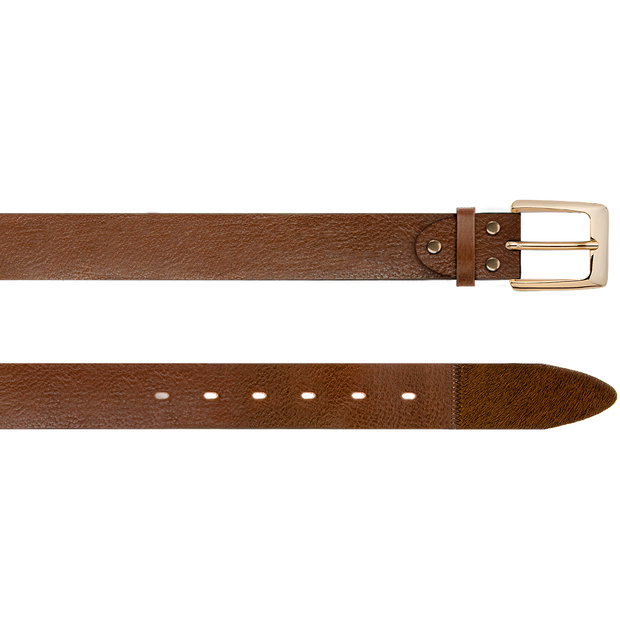 East Meets West Men Brown Belt